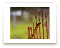 Rusty Iron Fence by Mary Ann Glynn-Tusa