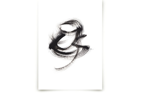 Kestral Fine Art Prints