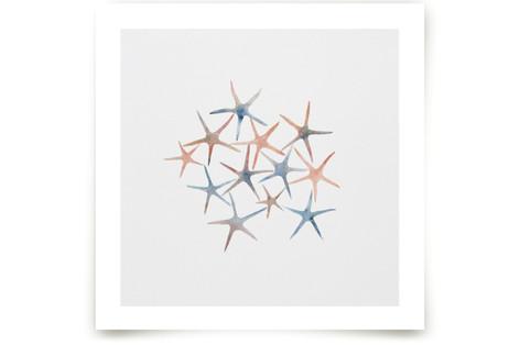 Seastars Fine Art Prints