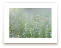 Spring on the Horizon by studio SYLVO