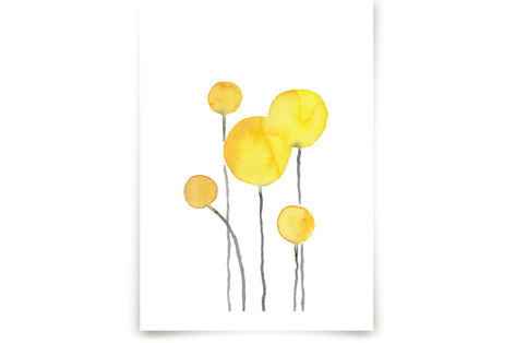 Fluid Craspedia Fine Art Prints