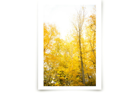 Autumn In New York Fine Art Prints