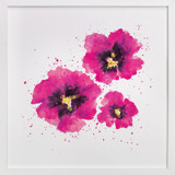  In Bloom