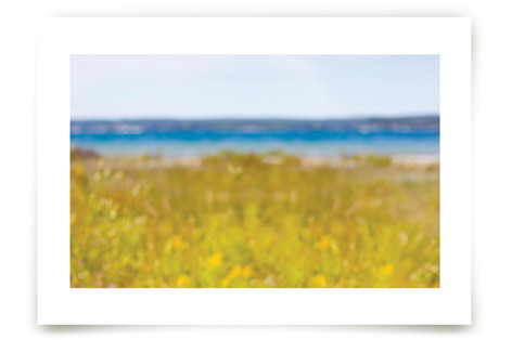 Freshwater One Fine Art Prints