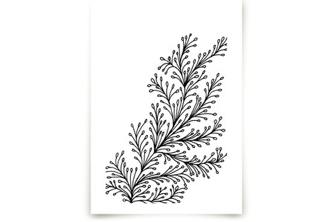 Botanical flow Fine Art Prints