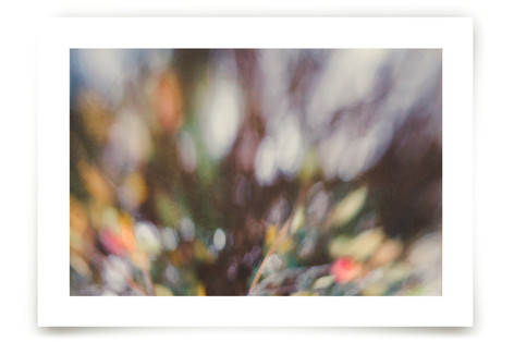 Winter Bokeh Fine Art Prints