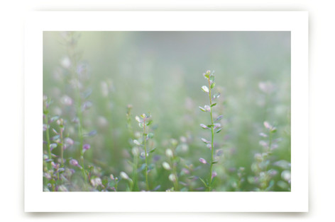 Spring on the Horizon Fine Art Prints