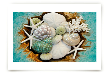 Sea Shell Swirls Fine Art Prints