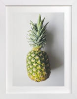 Ananas comosus