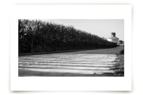 Modern Rural Fine Art Prints