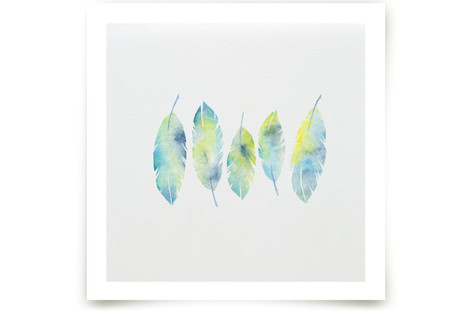 Feathers Collage Fine Art Prints