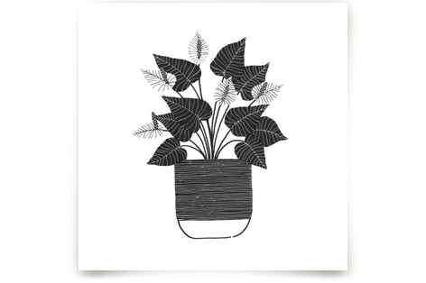 A Simple Anthurium Fine Art Prints