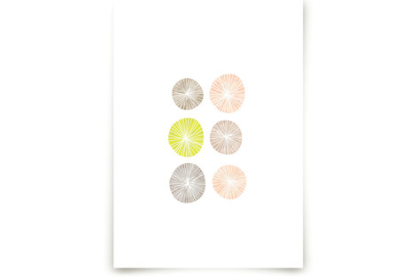 Barnacle Fine Art Prints