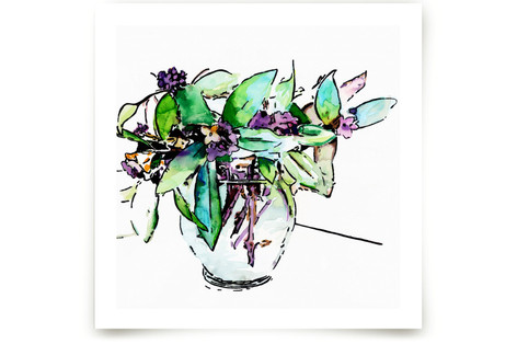 I Odora You Daphne  Fine Art Prints