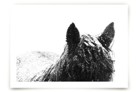 Snowstorm Fine Art Prints