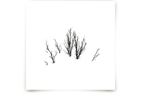 Deep in snow Fine Art Prints