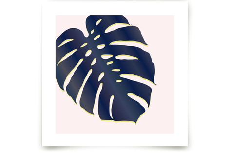 Palm Study #6 Fine Art Prints