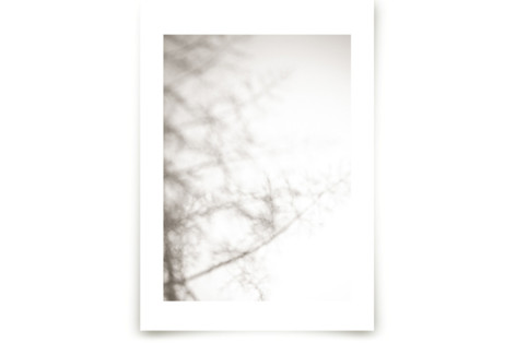 Insomnia Fine Art Prints