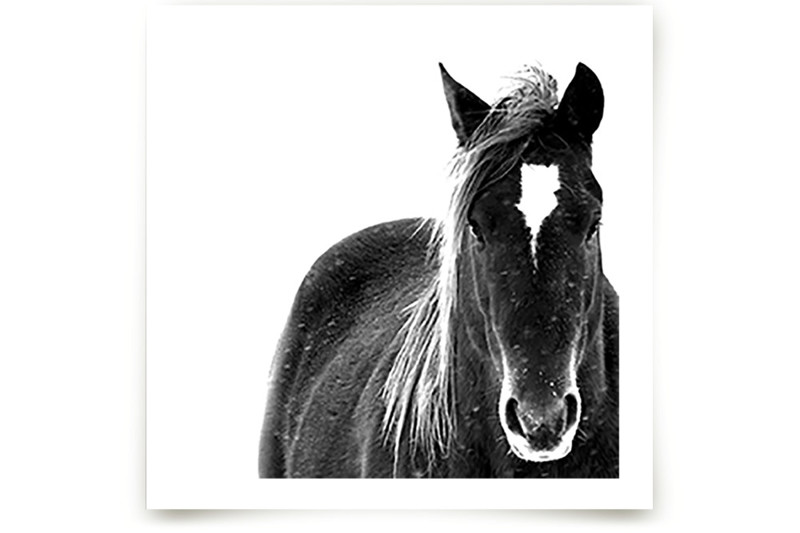 Resolution Fine Art Prints by Leslie Le Coq Minted