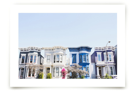 Painted Ladies Fine Art Prints