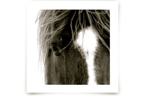 Apache Jack Fine Art Prints