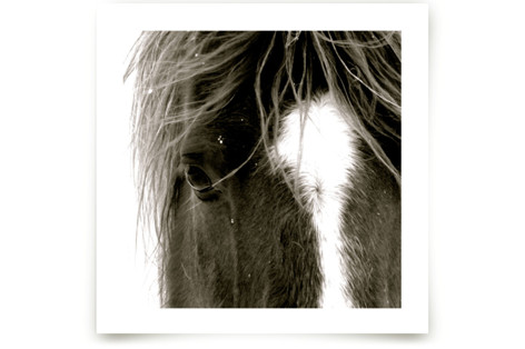 Apache Jack Fine Art Prints