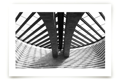 Mogno Fine Art Prints