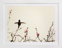 Landing on Branches.
