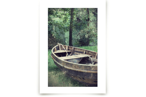 Water Penny Fine Art Prints