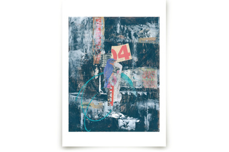 Bluebird Fine Art Prints