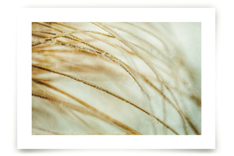 Frosted Lakes Fine Art Prints