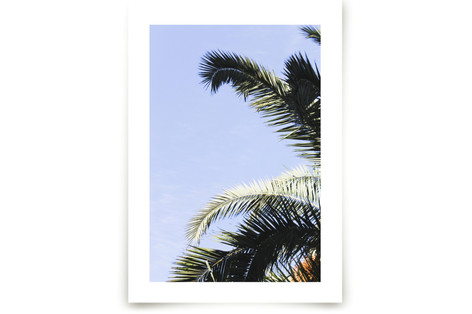 Palm I Fine Art Prints