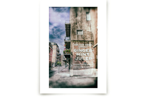 Ginger Mint Julep Fine Art Prints