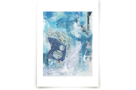 Damselfly Fine Art Prints