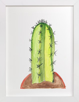 Up Close Cactus 