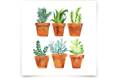 Home garden Fine Art Prints