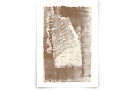 Contemporary Botanical Series 3 Fine Art Prints