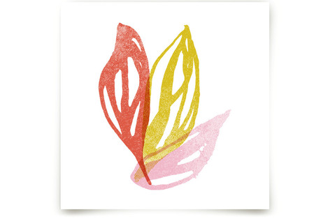 Flight Fine Art Prints