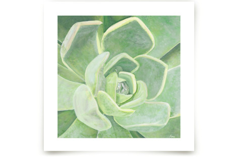 Garden Velvet Fine Art Prints