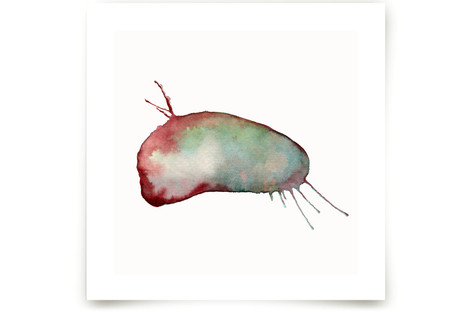 Metamorphosis 1 Fine Art Prints