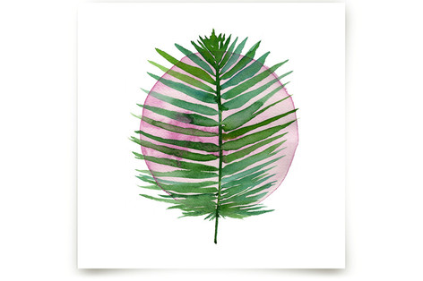 spotlight - sago palm Fine Art Prints