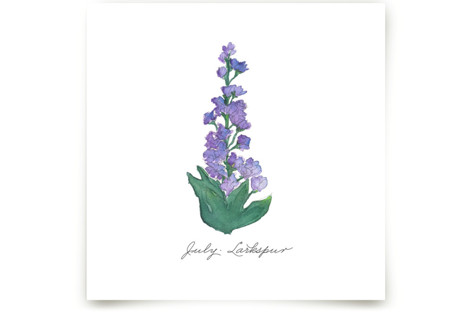 July Larkspur Fine Art Prints