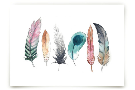 Feather Fun Fine Art Prints