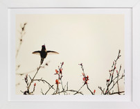 Landing on Branches.