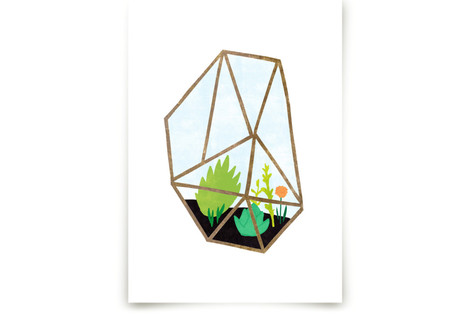 Terrarium 2 Fine Art Prints