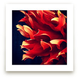 Spring Noir 7 by Sarah Johnson