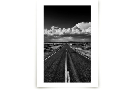 The Traveler's Companion  Fine Art Prints