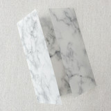 Elegant Marble Vellum Jacket | Set of 10 Invitation Jackets and Overlays
