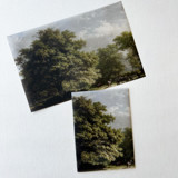 Oak Tree Vellum Wrap | Set of 10 Invitation Jackets and Overlays