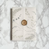 Fairytale Ivy Vellum Wrap (10 pack) Invitation Jackets and Overlays